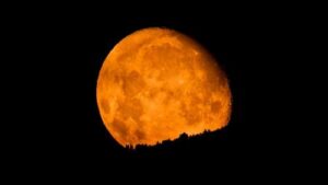 Lua Cheia: Um Portal Energético para Atrair Amor e Coragem