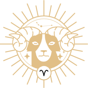 Previsões Astrais para Quinta-feira, 11 de Dezembro: O que os Signos Podem Esperar