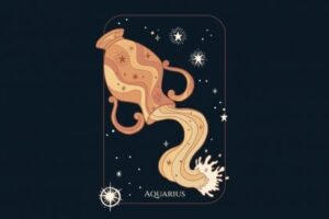 Aquarianos: Fevereiro de 2026 traz renovação e foco em metas