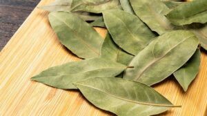 Louro: Tradição e Simbolismo para Atrair Boa Sorte no Mês Atual