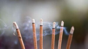 Renove as Energias: 4 Aromas Naturais para um Lar Mais Harmonioso